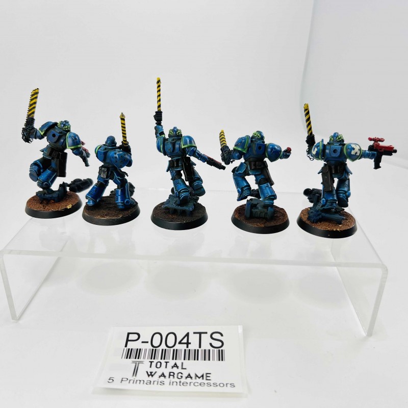 Primaris intercessors