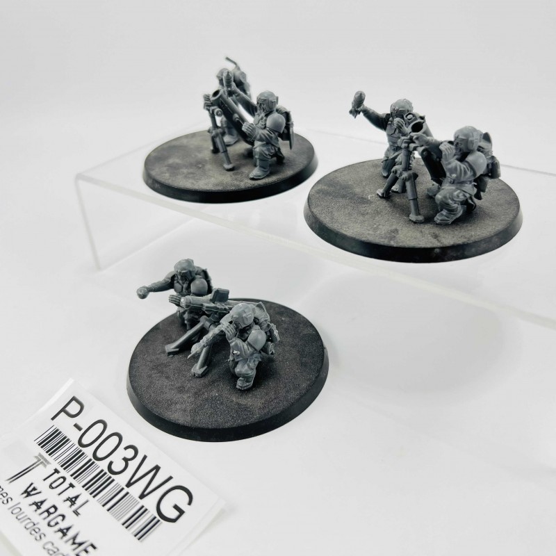 Cadian Heavy Weapon Squad