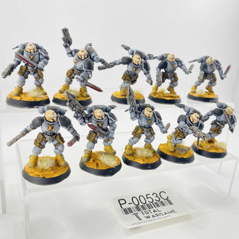 Primaris reivers Carcharodons