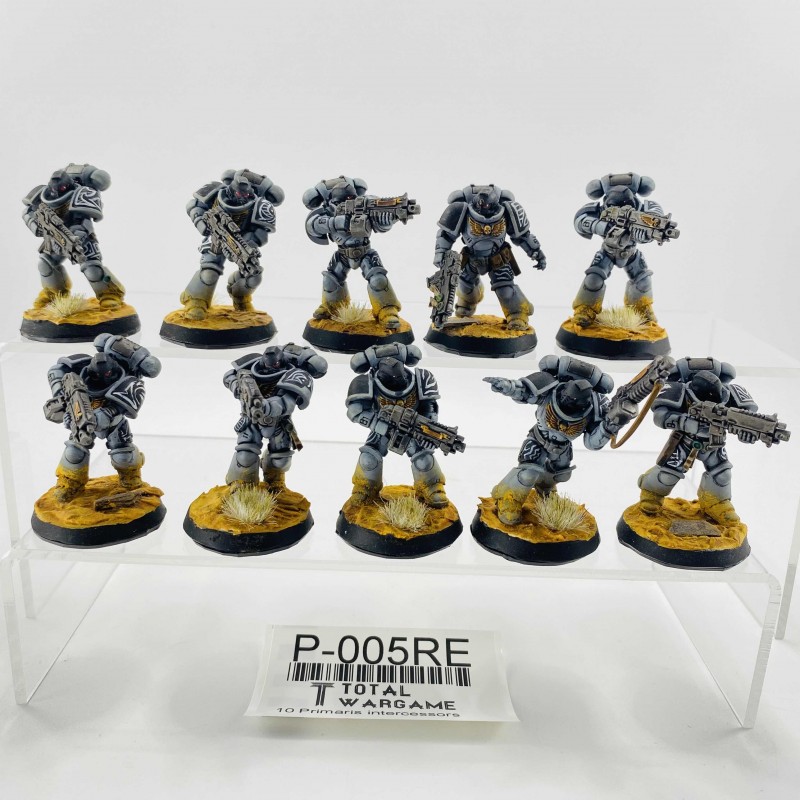 Primaris intercessors