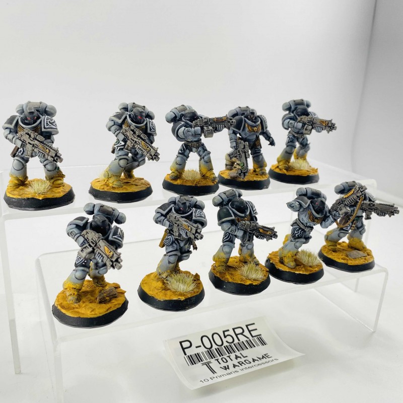 Primaris intercessors