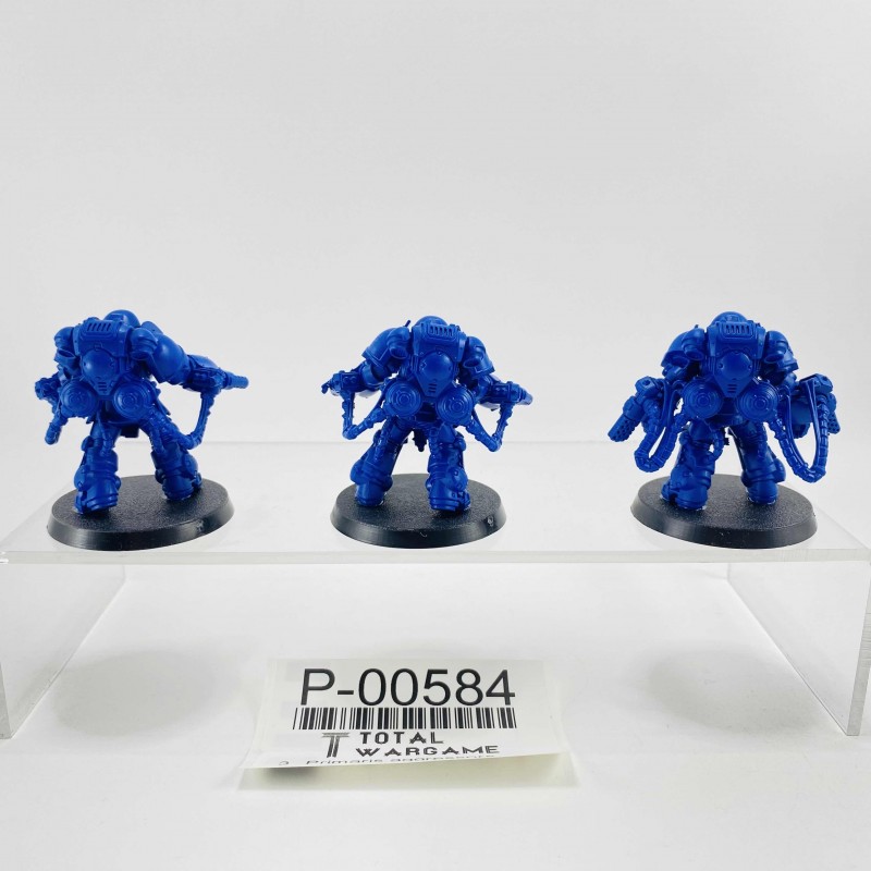 Primaris aggressors