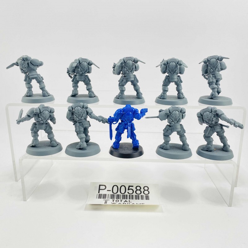 Primaris reivers