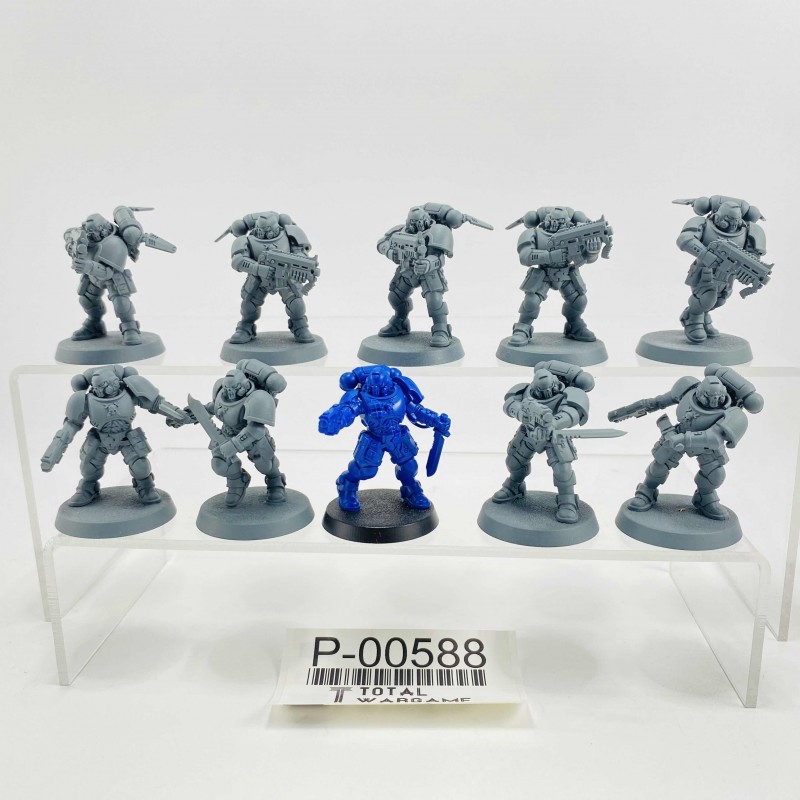 Primaris reivers