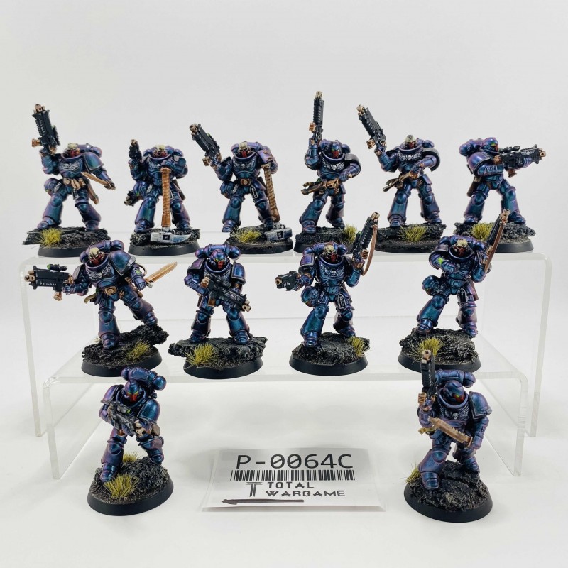 Primaris reivers