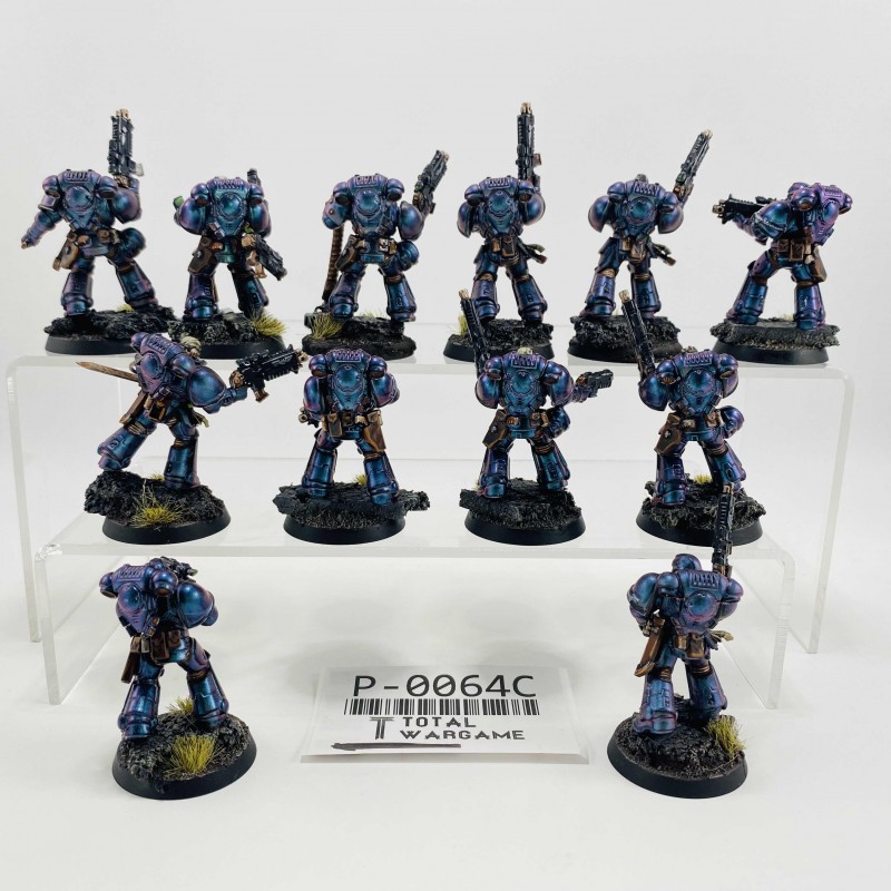 Primaris reivers