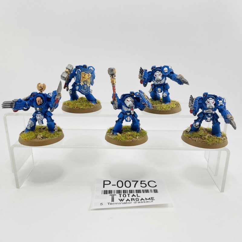 assault terminators