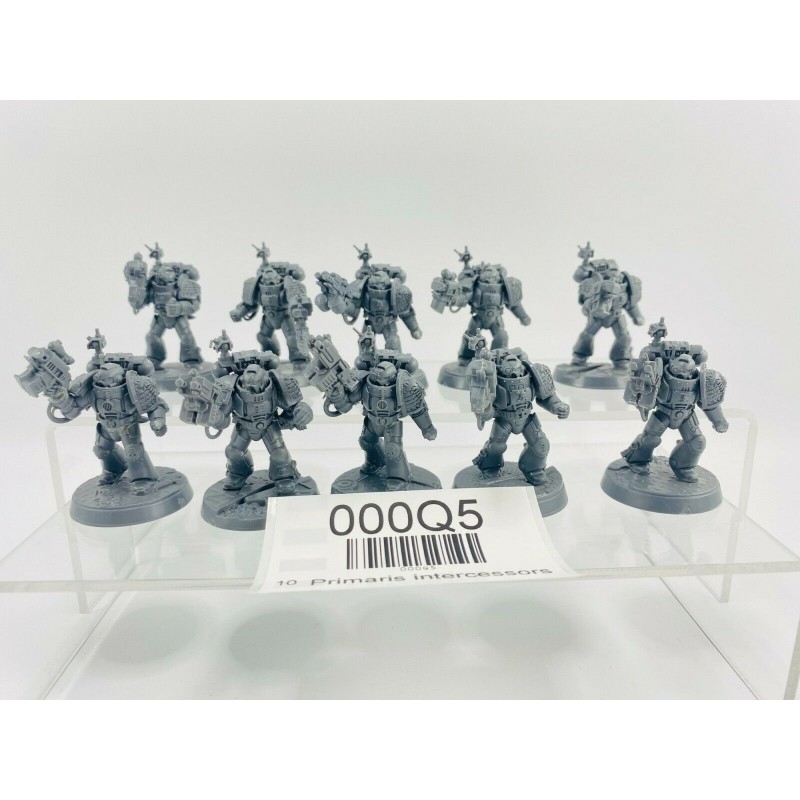 Primaris intercessors