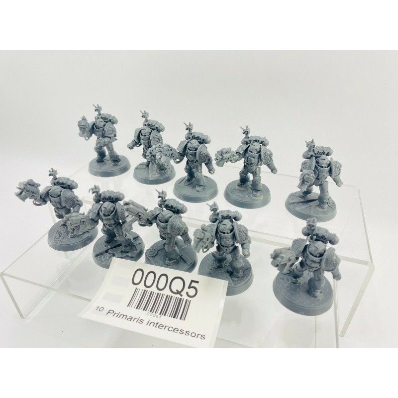 Primaris intercessors