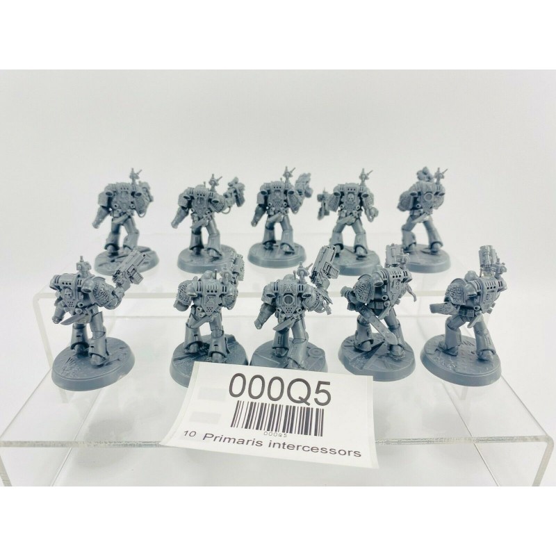 Primaris intercessors