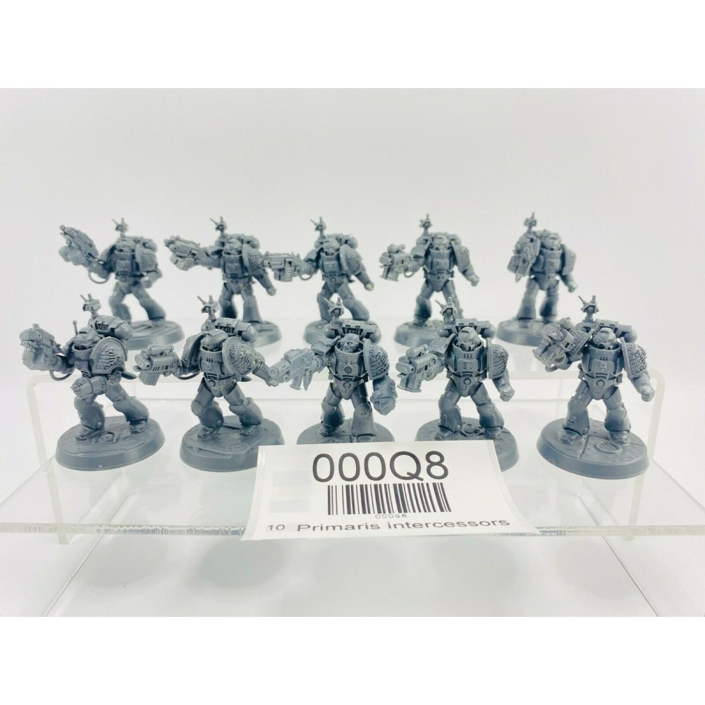 Primaris intercessors