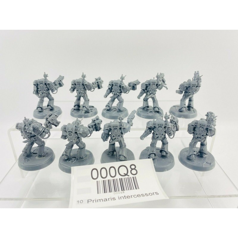 Primaris intercessors