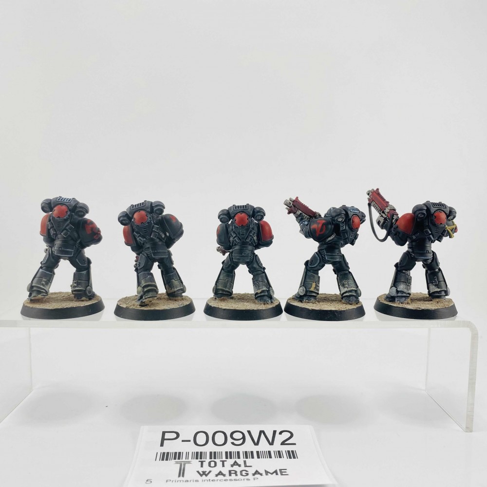 Primaris intercessors