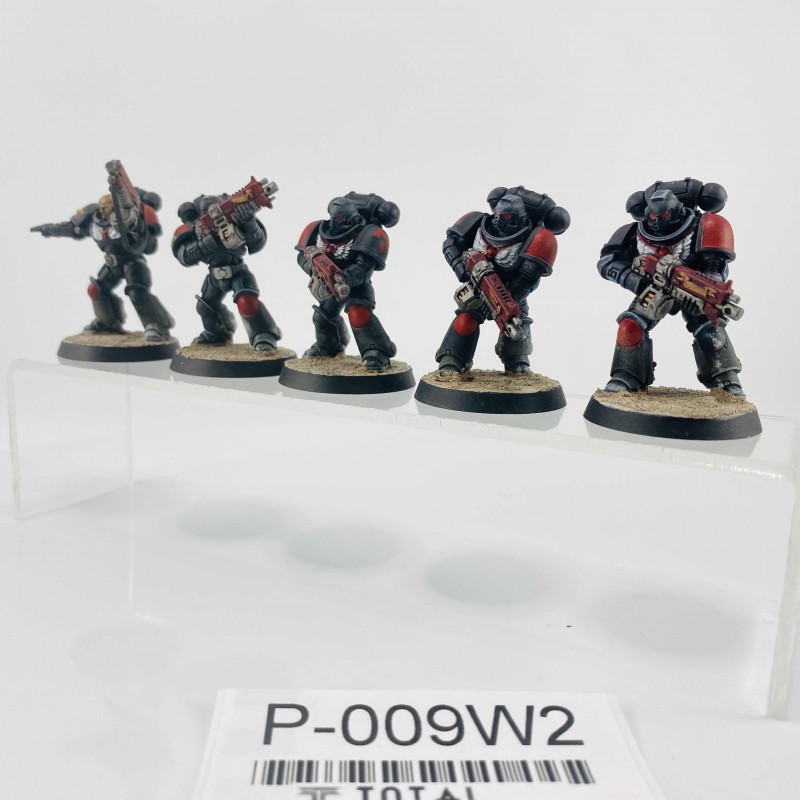 Primaris intercessors