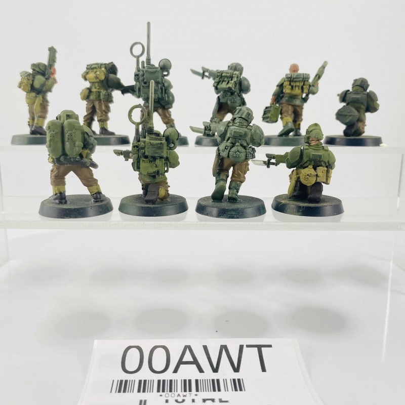 Cadian shock troups