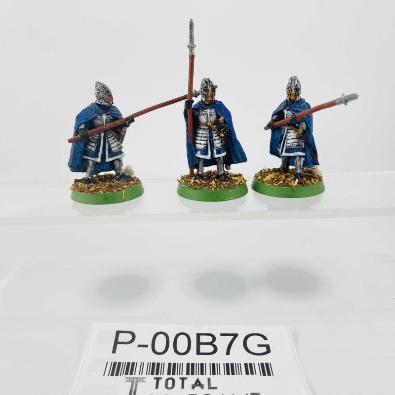 Citadel guards