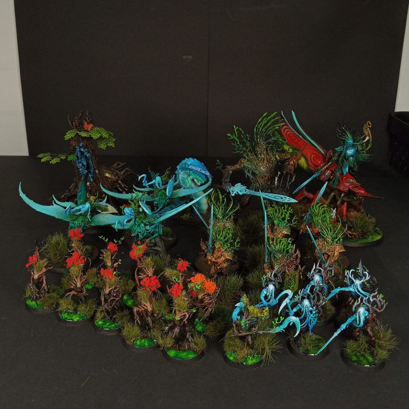 Armée Sylvaneth prête à jouer