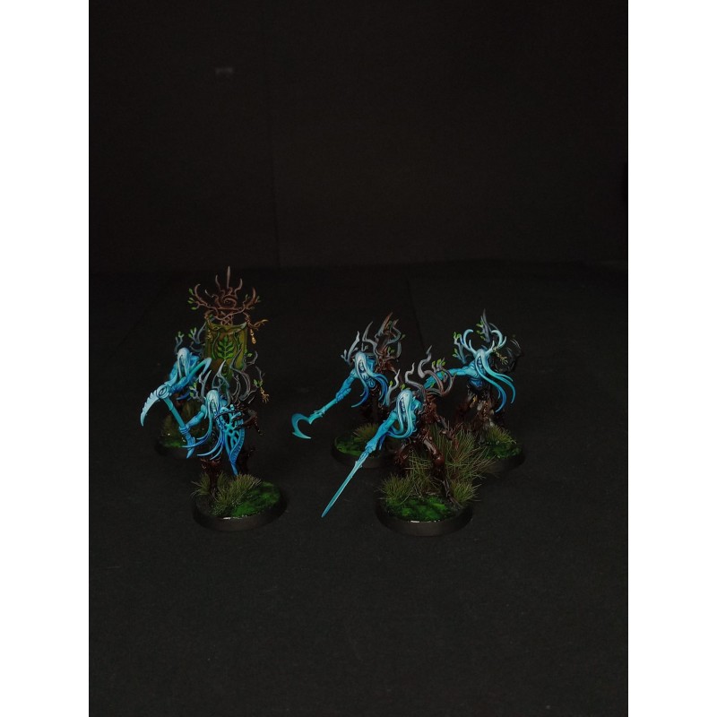 Armée Sylvaneth prête à jouer