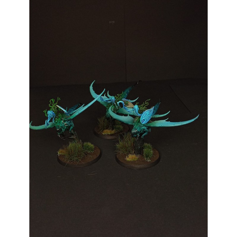 Armée Sylvaneth prête à jouer