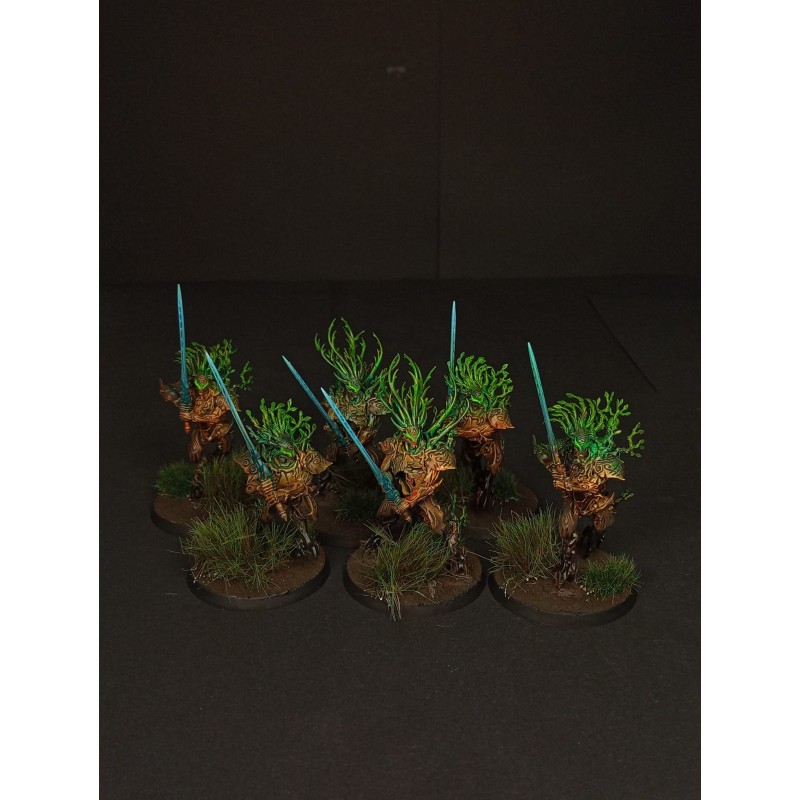 Armée Sylvaneth prête à jouer