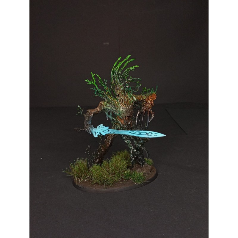 Armée Sylvaneth prête à jouer