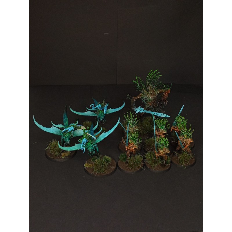 Armée Sylvaneth prête à jouer