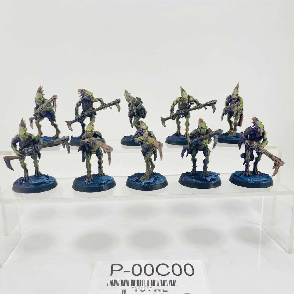 Kroot Carnivore Squad