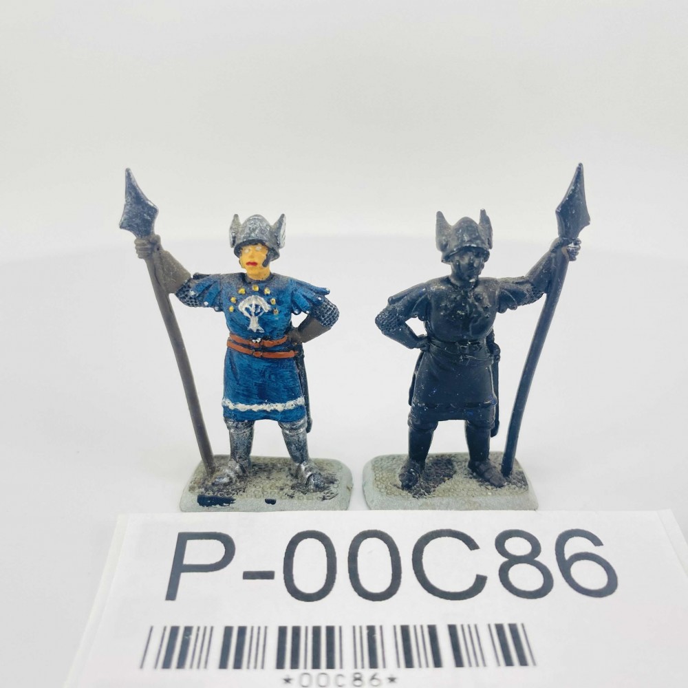 M199 Gondorian royal guards