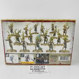 x16 Sylvaneth Dryads boîte scellée