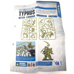 Typhus