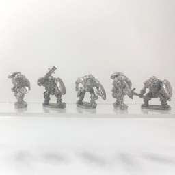 Grenadier : x5 orc warriors