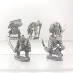 Grenadier : x5 orc warriors