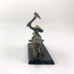 Marauder goblins wolf riders