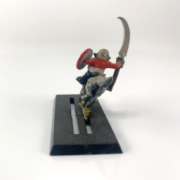 Marauder goblins wolf riders