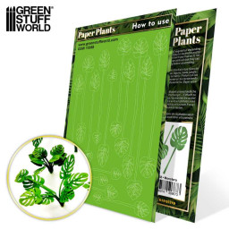 Paper plants - Monstera