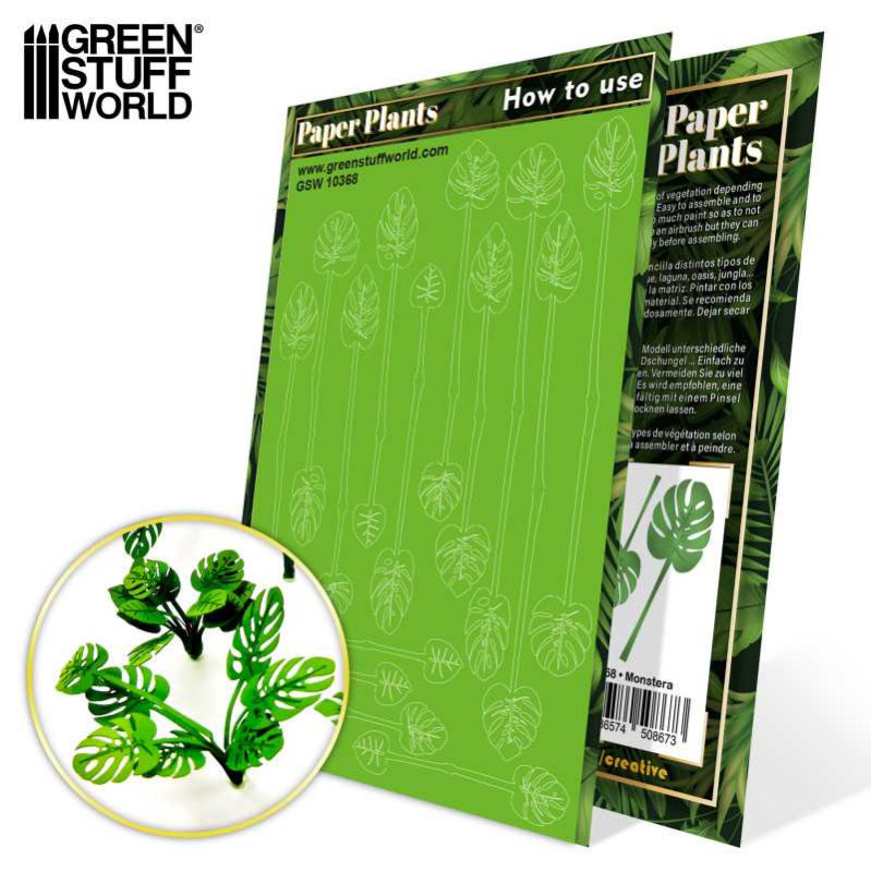 Paper plants - Monstera