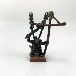 Stormvermins Standard Bearer