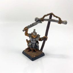 Stormvermins Standard Bearer