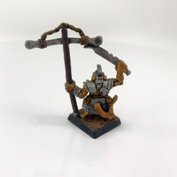 Stormvermins Standard Bearer