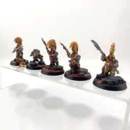 Hearthguard berzerker