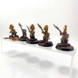 Hearthguard berzerker