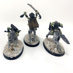 goblin wolf riders conversion