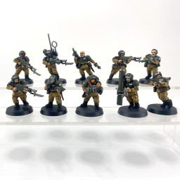 Cadian shock troups