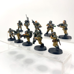 Cadian shock troups