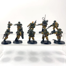 Cadian shock troups