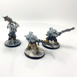 Brutes Ragerz conversion