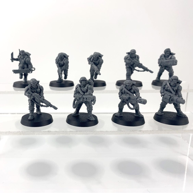 Cadian shock troups