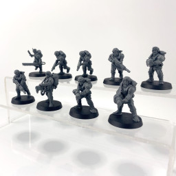 Cadian shock troups