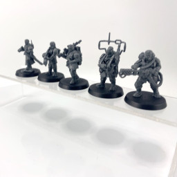 Cadian command squad