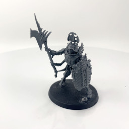 Immortis Guard